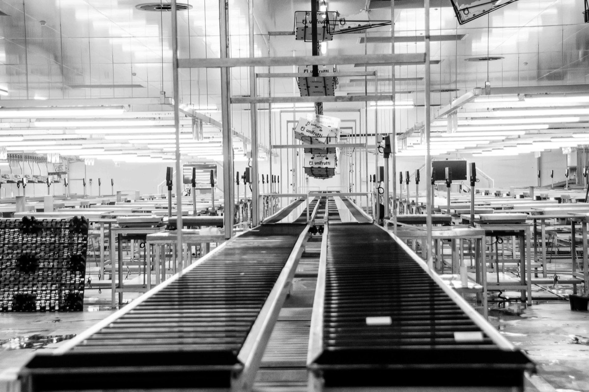 Battery cell manufacturing plant with industrial machinery